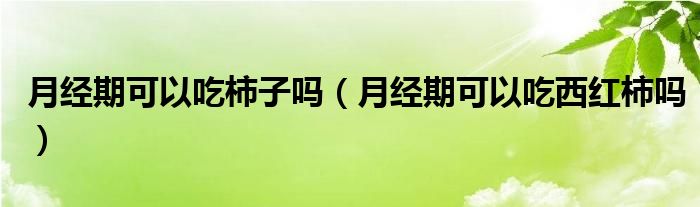 月经期可以吃柿子吗（月经期可以吃西红柿吗）