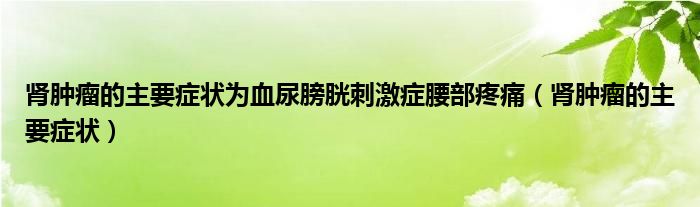 肾肿瘤的主要症状为血尿膀胱刺激症腰部疼痛（肾肿瘤的主要症状）