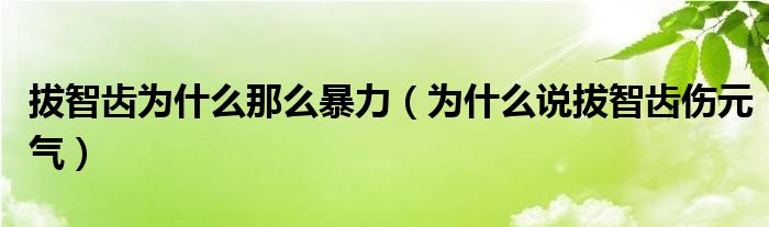 拔智齿为什么那么暴力（为什么说拔智齿伤元气）