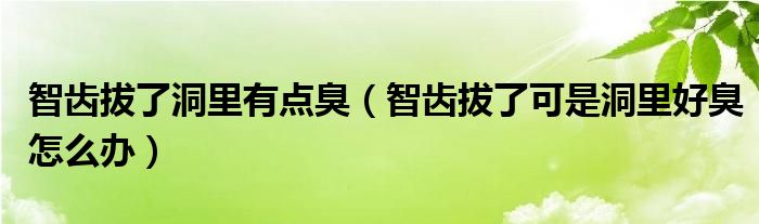 智齿拔了洞里有点臭（智齿拔了可是洞里好臭怎么办）