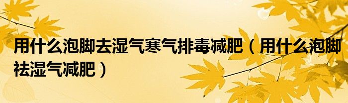 用什么泡脚去湿气寒气排毒减肥（用什么泡脚祛湿气减肥）