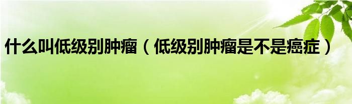 什么叫低级别肿瘤（低级别肿瘤是不是癌症）