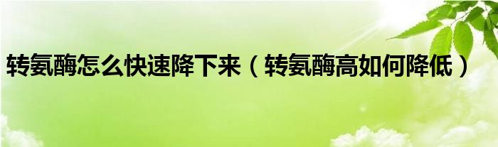 转氨酶怎么快速降下来（转氨酶高如何降低）