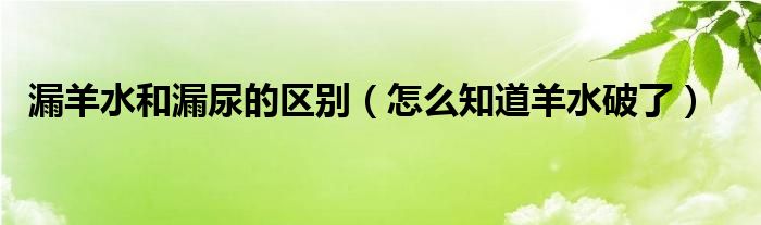 漏羊水和漏尿的区别（怎么知道羊水破了）