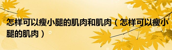 怎样可以瘦小腿的肌肉和肌肉（怎样可以瘦小腿的肌肉）