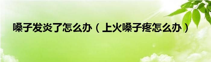 嗓子发炎了怎么办（上火嗓子疼怎么办）