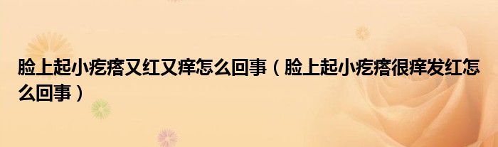 脸上起小疙瘩又红又痒怎么回事（脸上起小疙瘩很痒发红怎么回事）