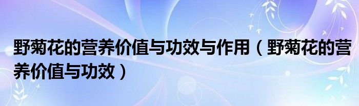 野菊花的营养价值与功效与作用（野菊花的营养价值与功效）