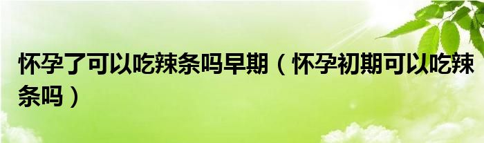 怀孕了可以吃辣条吗早期（怀孕初期可以吃辣条吗）