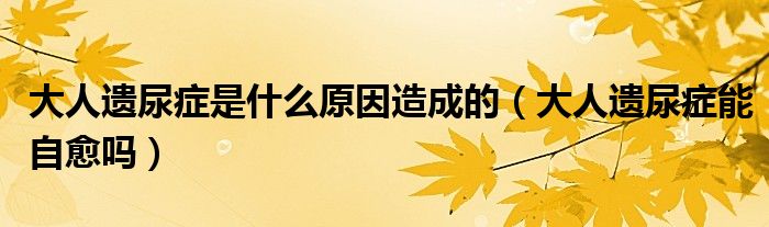 大人遗尿症是什么原因造成的（大人遗尿症能自愈吗）