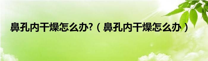 鼻孔内干燥怎么办?（鼻孔内干燥怎么办）