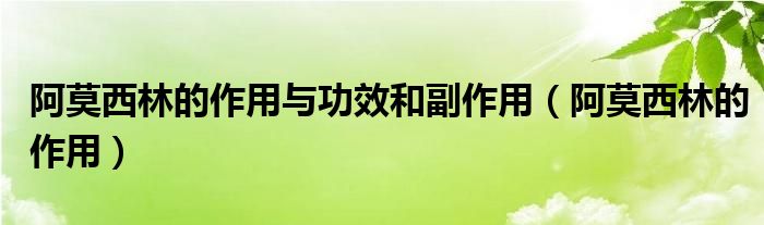 阿莫西林的作用与功效和副作用（阿莫西林的作用）