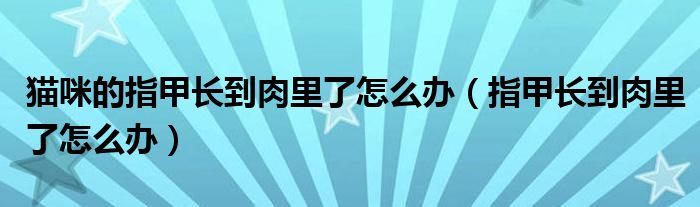 猫咪的指甲长到肉里了怎么办（指甲长到肉里了怎么办）