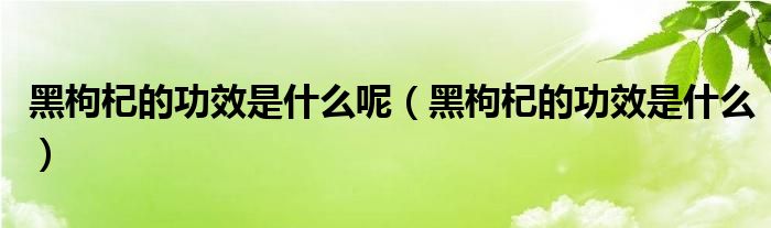 黑枸杞的功效是什么呢（黑枸杞的功效是什么）