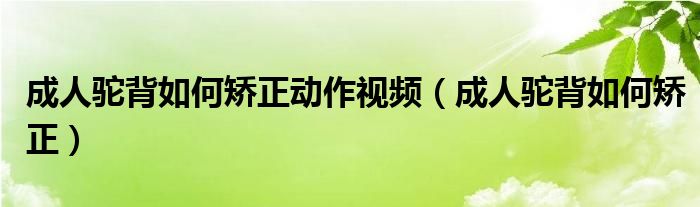 成人驼背如何矫正动作视频（成人驼背如何矫正）