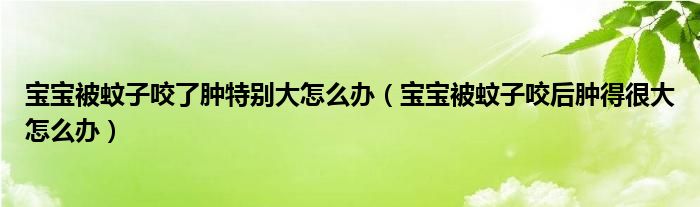 宝宝被蚊子咬了肿特别大怎么办（宝宝被蚊子咬后肿得很大怎么办）