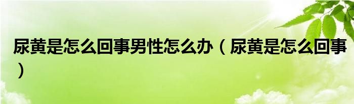 尿黄是怎么回事男性怎么办（尿黄是怎么回事）