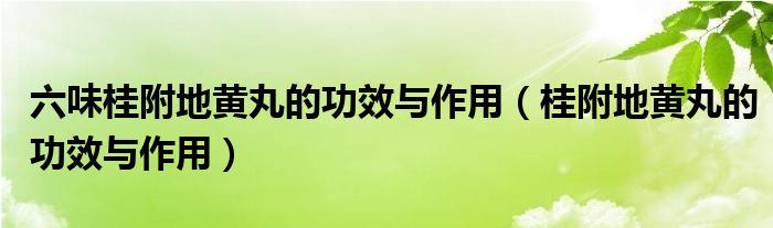 六味桂附地黄丸的功效与作用（桂附地黄丸的功效与作用）