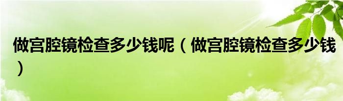 做宫腔镜检查多少钱呢（做宫腔镜检查多少钱）