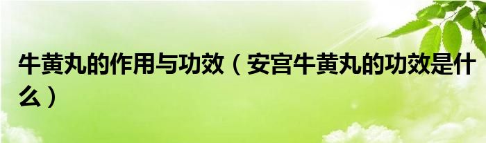 牛黄丸的作用与功效（安宫牛黄丸的功效是什么）