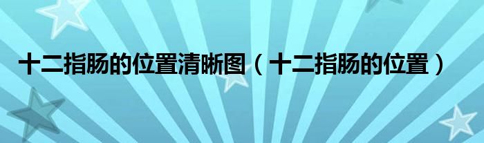 十二指肠的位置清晰图（十二指肠的位置）