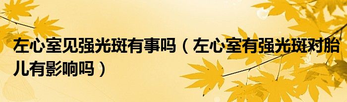 左心室见强光斑有事吗（左心室有强光斑对胎儿有影响吗）