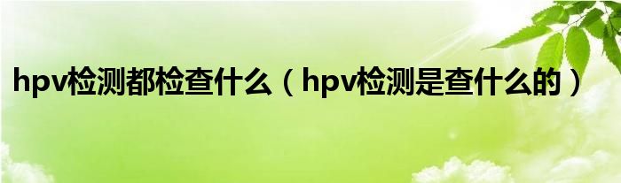 hpv检测都检查什么（hpv检测是查什么的）