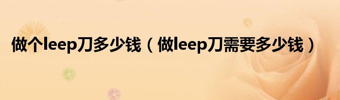 做个leep刀多少钱（做leep刀需要多少钱）