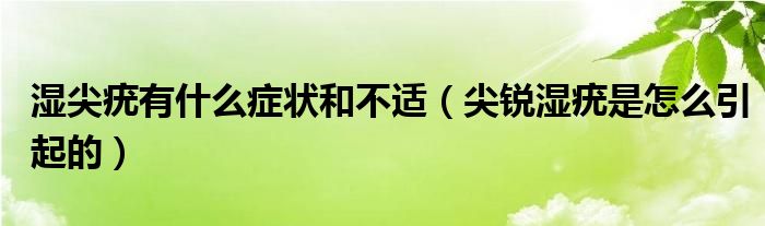 湿尖疣有什么症状和不适（尖锐湿疣是怎么引起的）