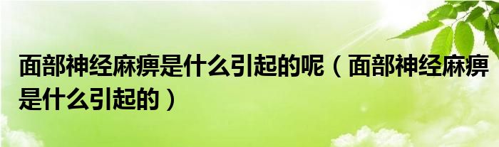 面部神经麻痹是什么引起的呢（面部神经麻痹是什么引起的）