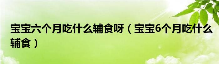 宝宝六个月吃什么辅食呀（宝宝6个月吃什么辅食）