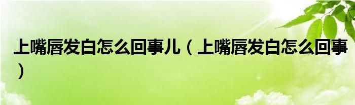 上嘴唇发白怎么回事儿（上嘴唇发白怎么回事）