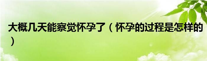 大概几天能察觉怀孕了（怀孕的过程是怎样的）