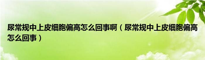 尿常规中上皮细胞偏高怎么回事啊（尿常规中上皮细胞偏高怎么回事）