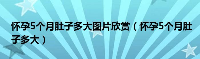 怀孕5个月肚子多大图片欣赏（怀孕5个月肚子多大）