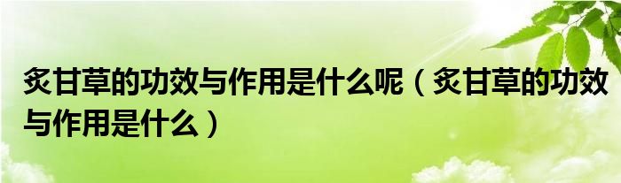 炙甘草的功效与作用是什么呢（炙甘草的功效与作用是什么）