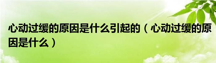 心动过缓的原因是什么引起的（心动过缓的原因是什么）