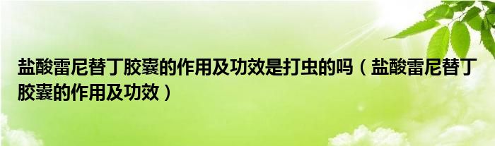 盐酸雷尼替丁胶囊的作用及功效是打虫的吗（盐酸雷尼替丁胶囊的作用及功效）