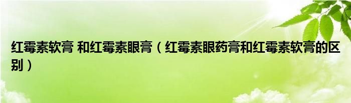 红霉素软膏 和红霉素眼膏（红霉素眼药膏和红霉素软膏的区别）