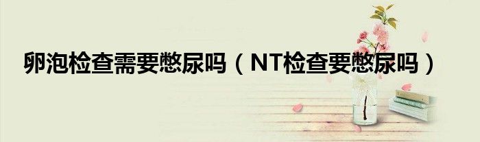 卵泡检查需要憋尿吗（NT检查要憋尿吗）