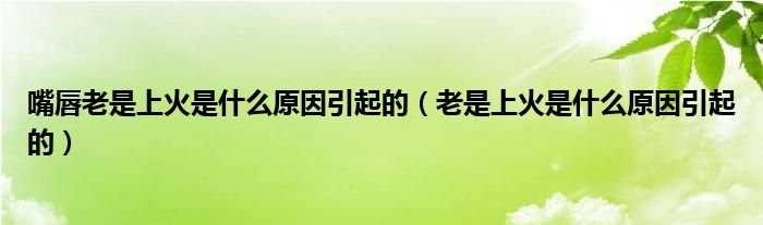 嘴唇老是上火是什么原因引起的（老是上火是什么原因引起的）