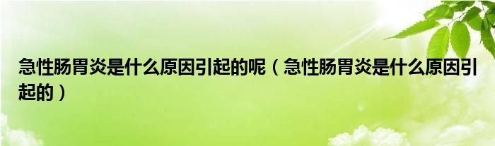 急性肠胃炎是什么原因引起的呢（急性肠胃炎是什么原因引起的）