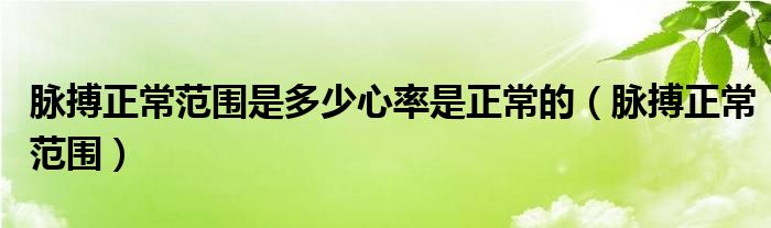 脉搏正常范围是多少心率是正常的（脉搏正常范围）