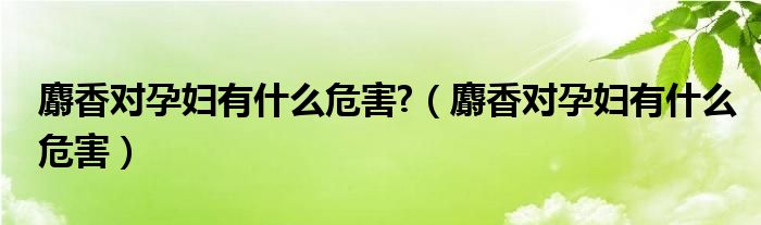 麝香对孕妇有什么危害?（麝香对孕妇有什么危害）