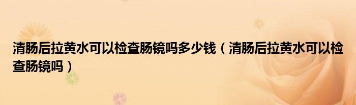 清肠后拉黄水可以检查肠镜吗多少钱（清肠后拉黄水可以检查肠镜吗）