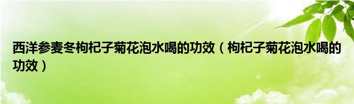 西洋参麦冬枸杞子菊花泡水喝的功效（枸杞子菊花泡水喝的功效）