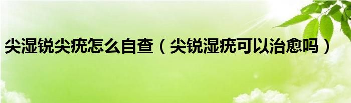 尖湿锐尖疣怎么自查（尖锐湿疣可以治愈吗）