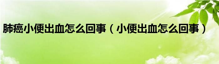 肺癌小便出血怎么回事（小便出血怎么回事）