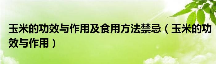 玉米的功效与作用及食用方法禁忌（玉米的功效与作用）