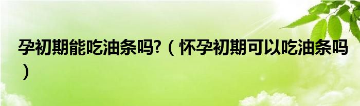 孕初期能吃油条吗?（怀孕初期可以吃油条吗）